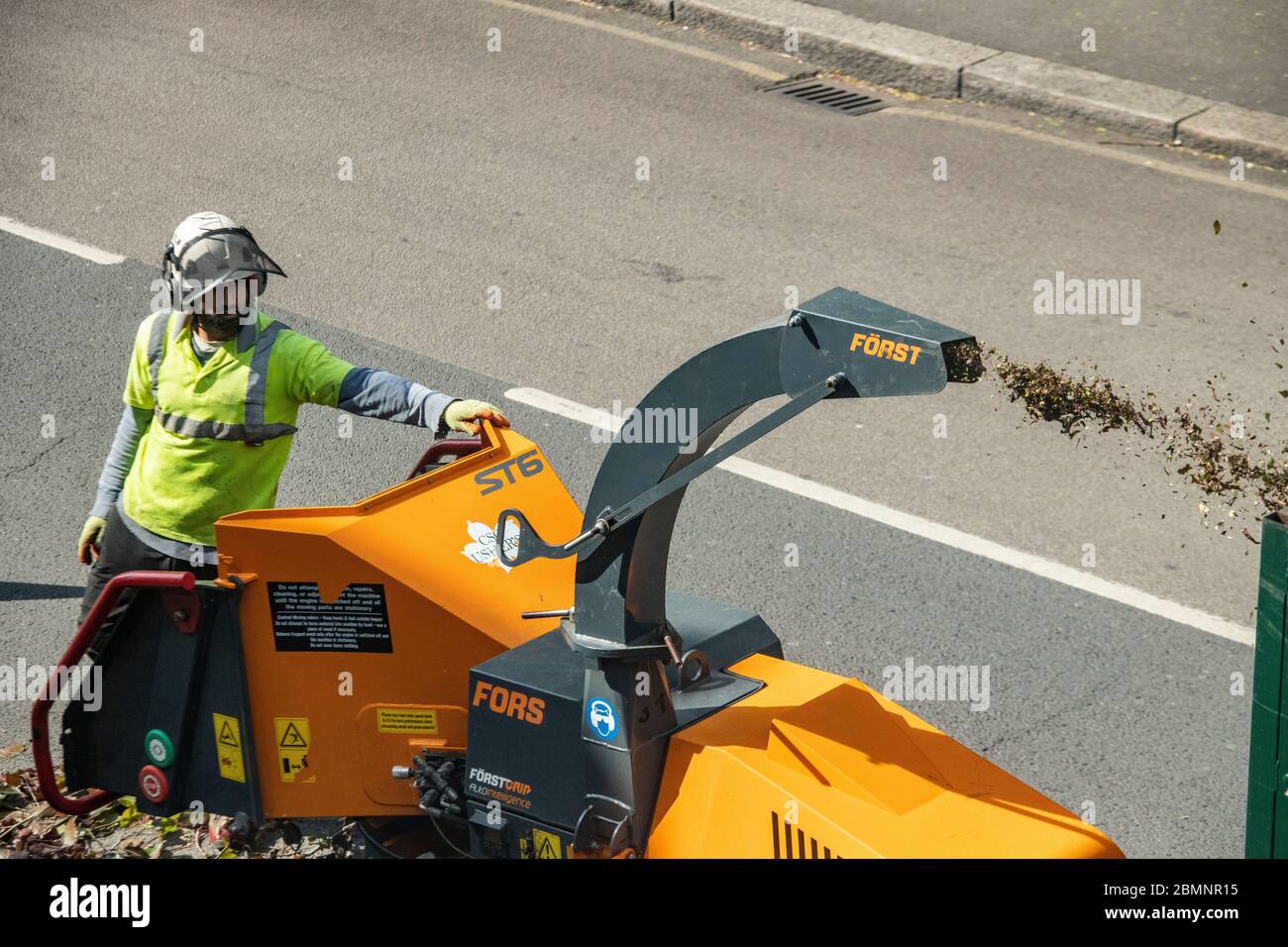 A tree surgeon recycles a beech tree in a shredder Stock Photo