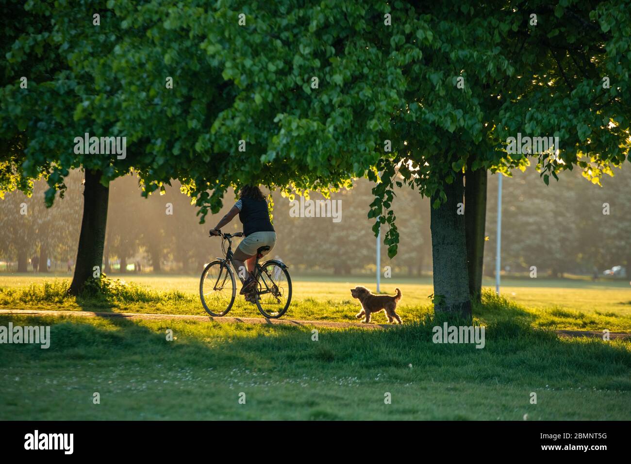 Riding a bike whilst exercising a dog Stock Photo