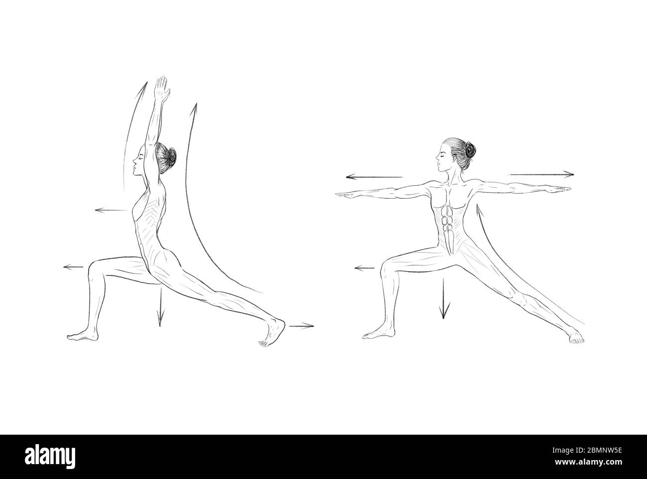 Illustration of the yoga poses (asanas Stock Photo - Alamy