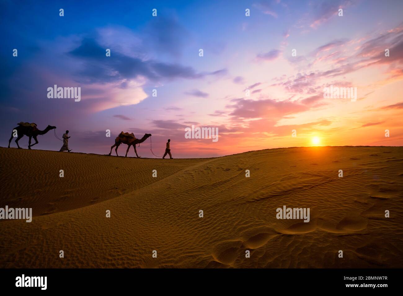 Indian cameleers camel driver with camel silhouettes in dunes on sunset. Jaisalmer, Rajasthan, India Stock Photo