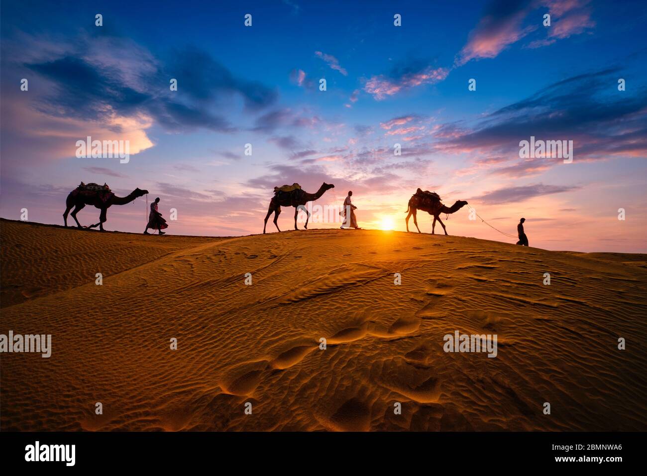 Indian cameleers camel driver with camel silhouettes in dunes on sunset. Jaisalmer, Rajasthan, India Stock Photo