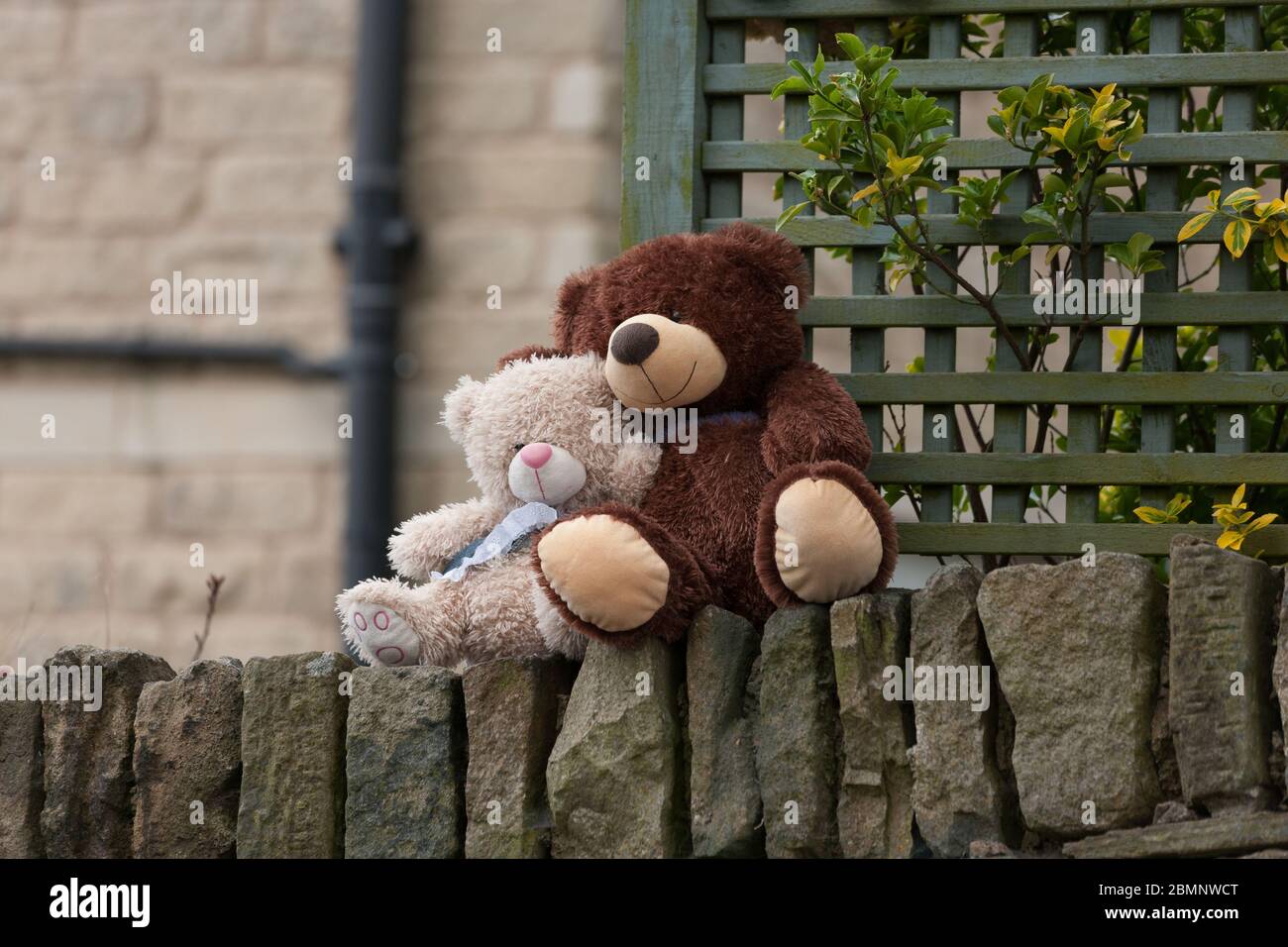 Teddy bears sit on a wall in West Yorkshire Stock Photo - Alamy