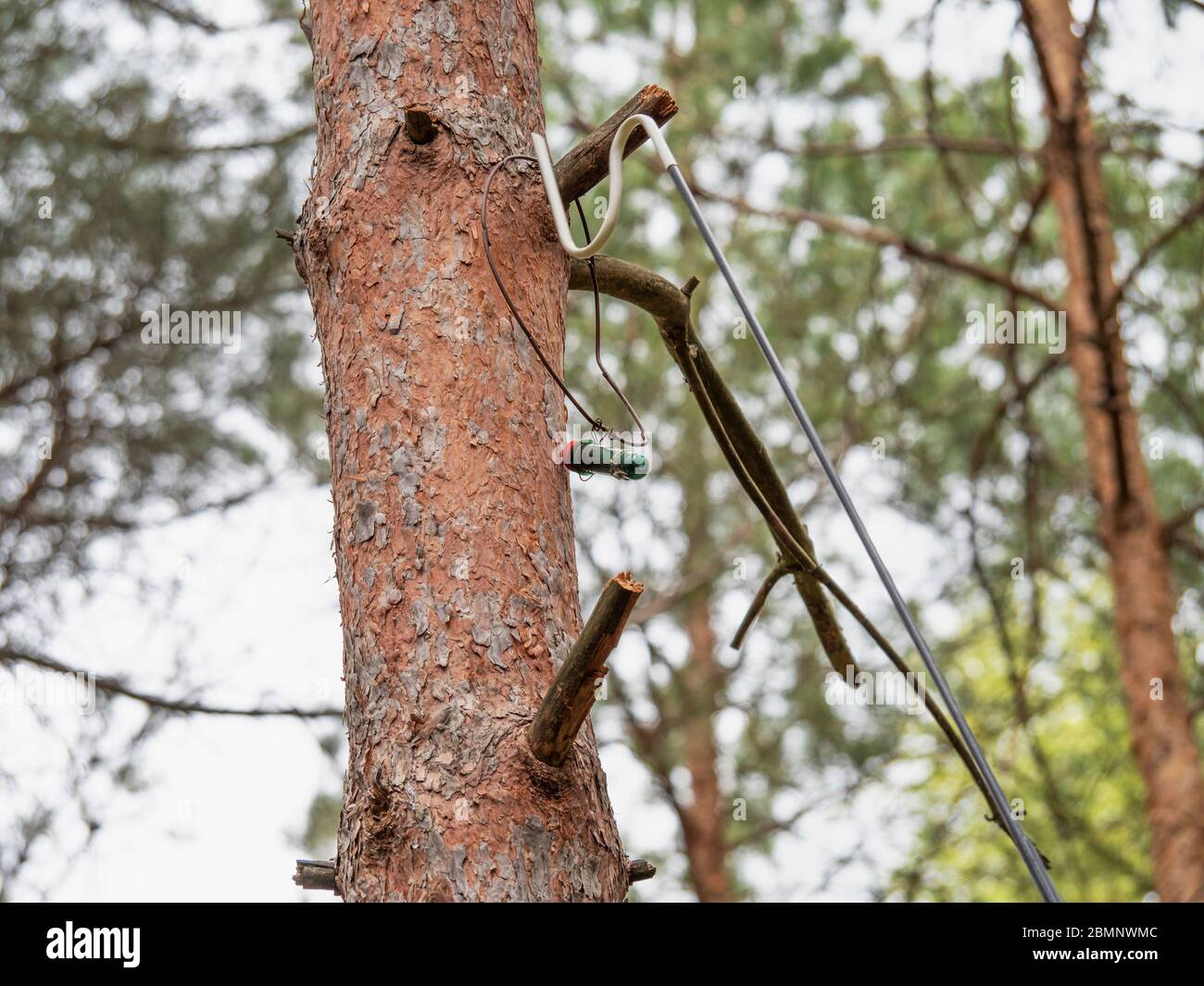 Geocache Container High Resolution Stock Photography and Images - Alamy