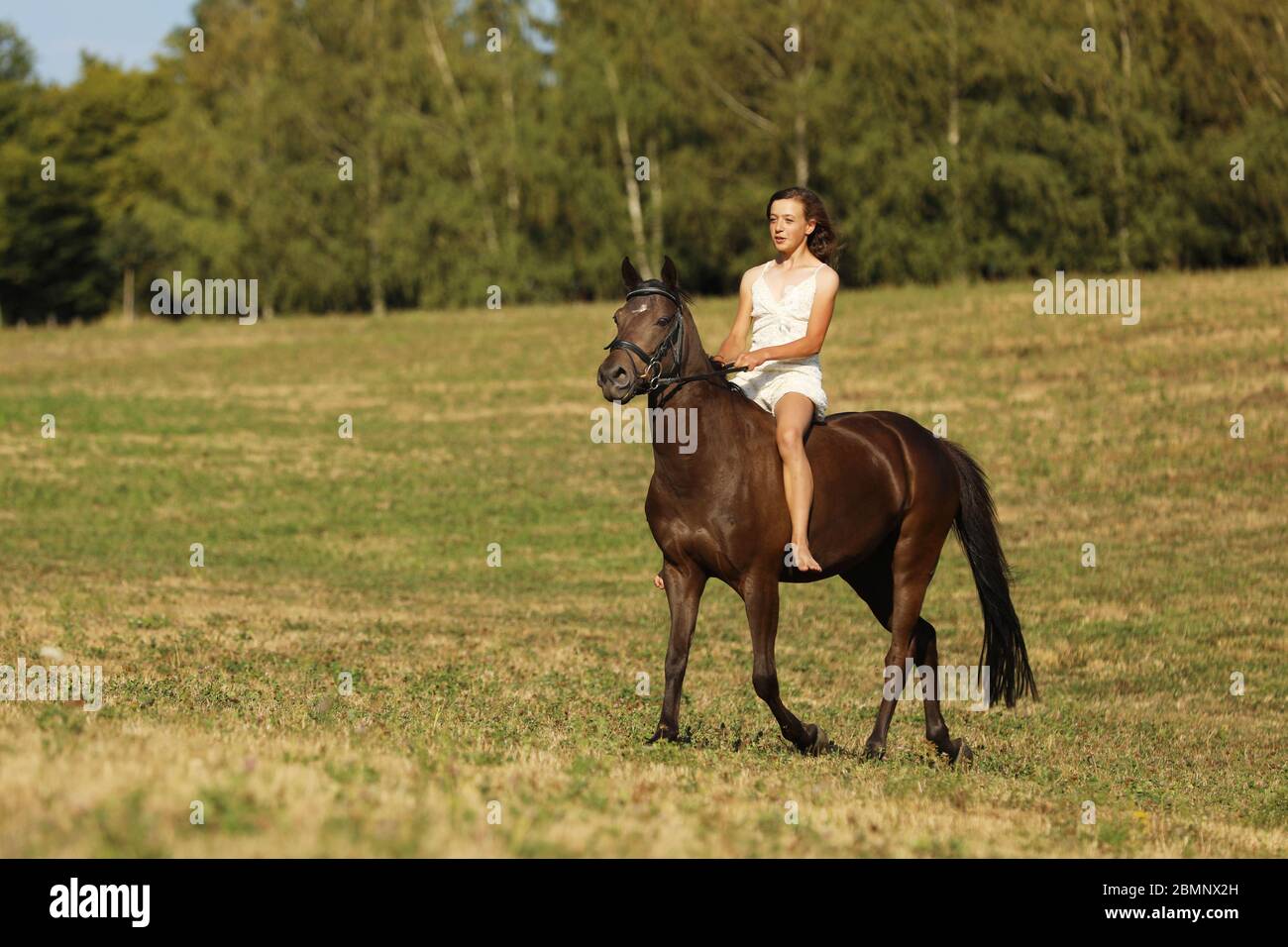 Young girl in white dress ride on horse without saddle through meadow on summer afternoon Stock