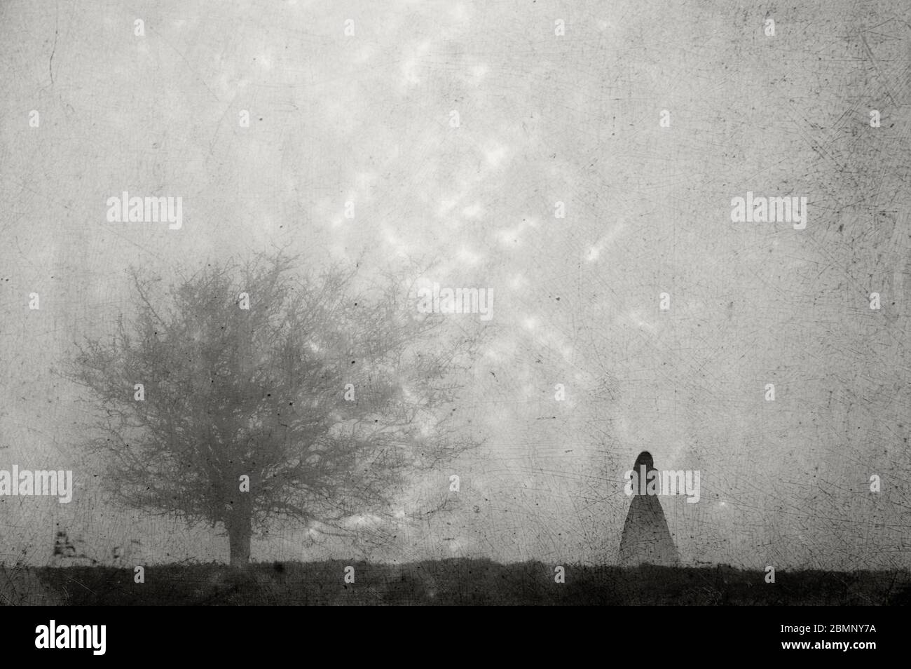 A ghostly transparent woman in a dress floating next to a tree. With a grunge, vintage textured edit. Stock Photo