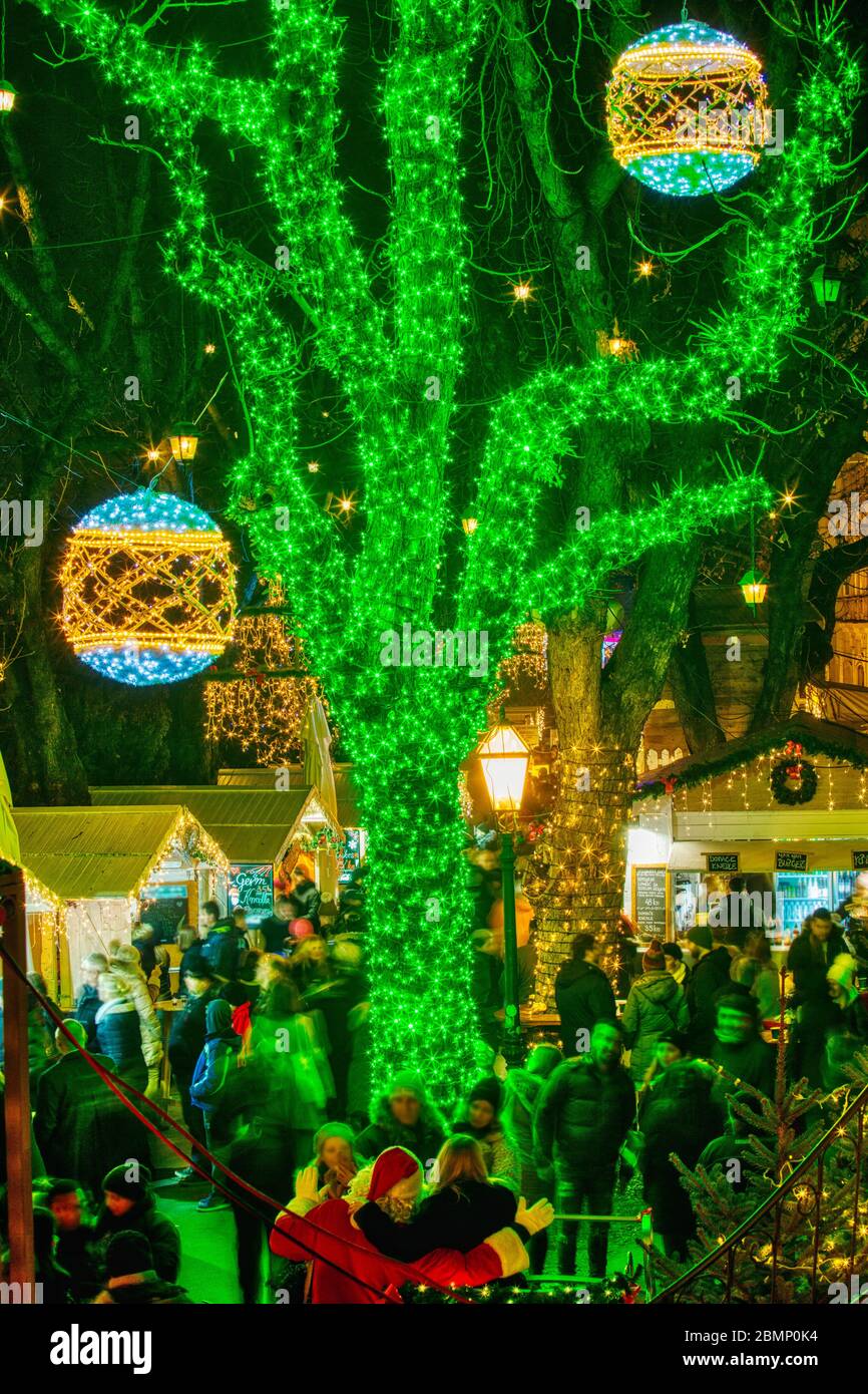 Green Lights Christmas Tree 