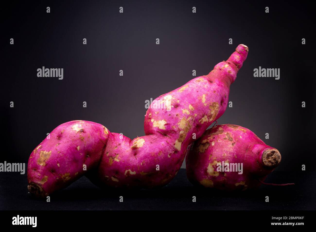 Couple of shiny magenta fresh vibrant colourful organic raw sweet potato or yam in studio lighting contrasted against a dark grey background Stock Photo