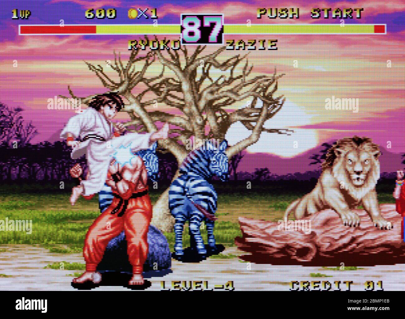 Double Dragon - SNK Neo-Geo NeoGeo - Editorial use only Stock Photo - Alamy