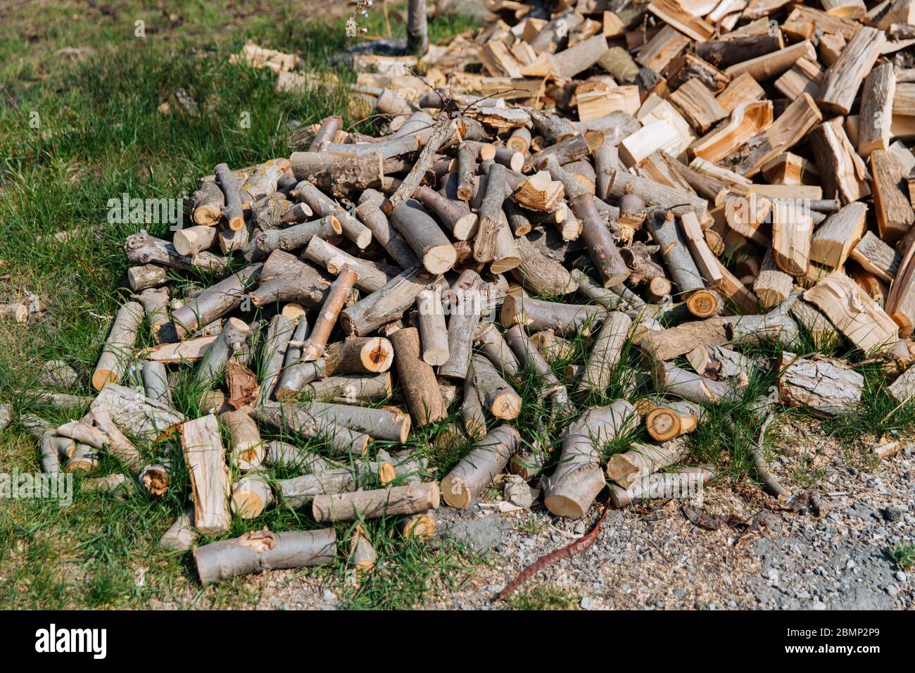 Chopped firewood from different species of trees. Preparation of