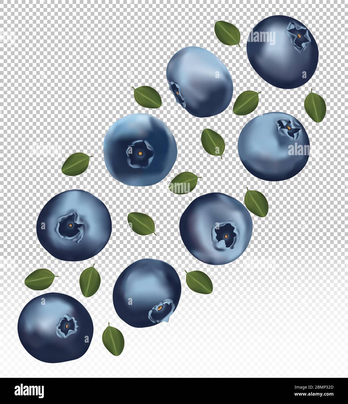 Set of blueberry with leaves on transparent background. Fresh blueberry