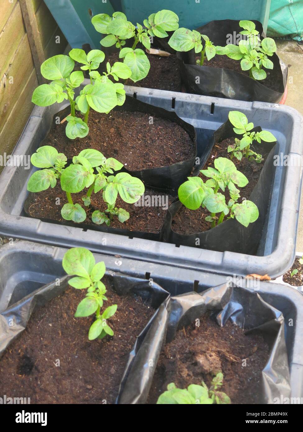 Old plastic recycling boxes and reusable black bags are used for
