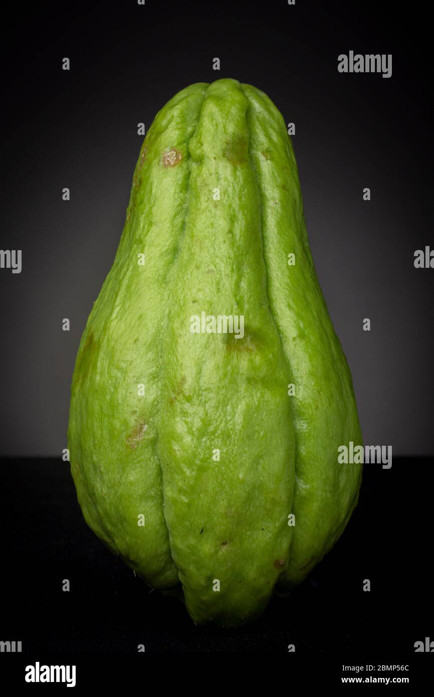 Single vibrant green Chayote vegetable. Studio low key food still life against a dark grey background. Stock Photo