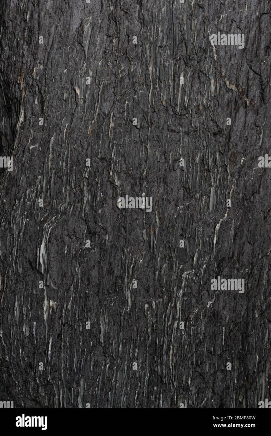 Abstract background of rough linear textured dark rock surface Stock Photo
