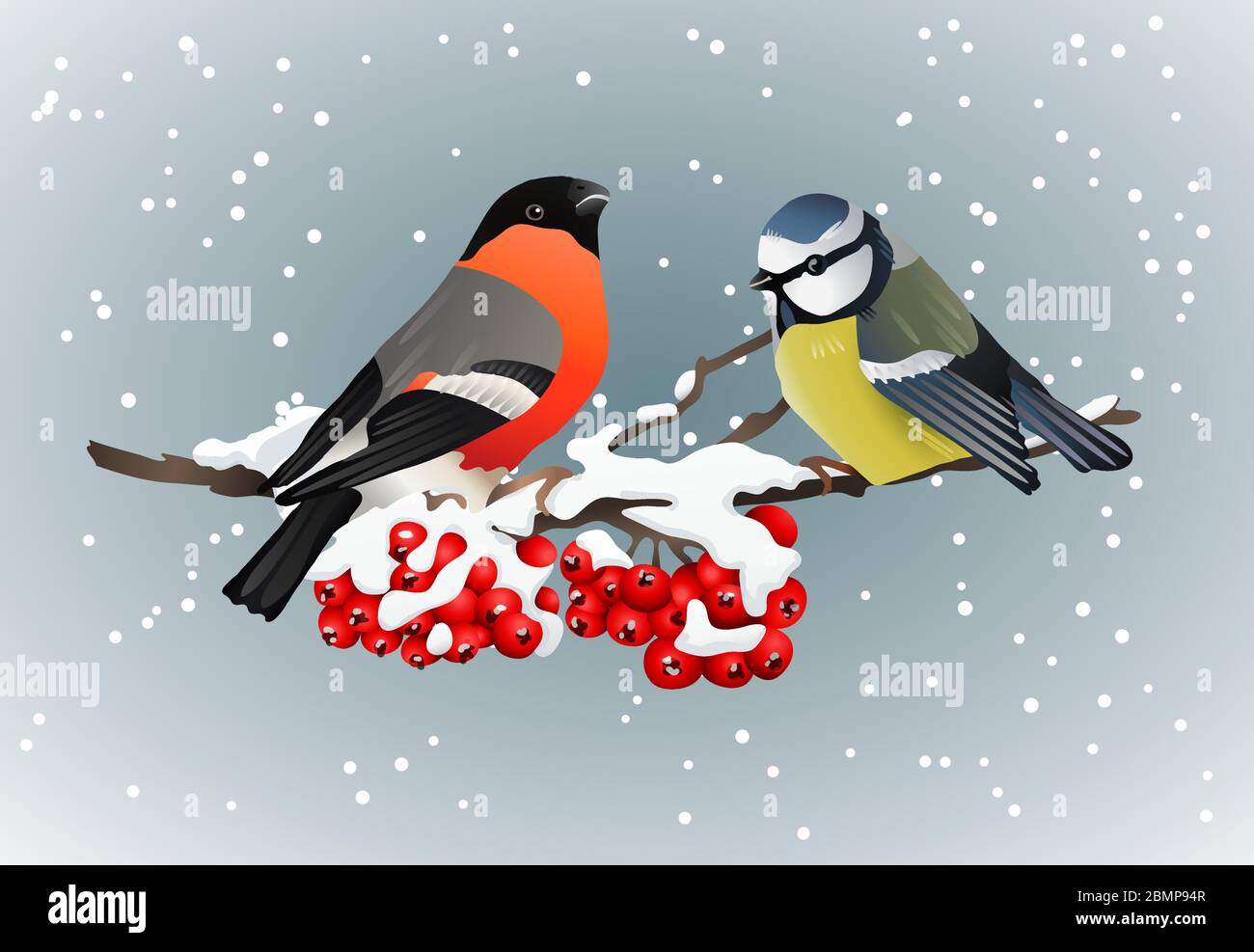 Bullfinch and titmouse sitting on snow-covered branch of mountain ash winter nature vector illustrations Stock Vector