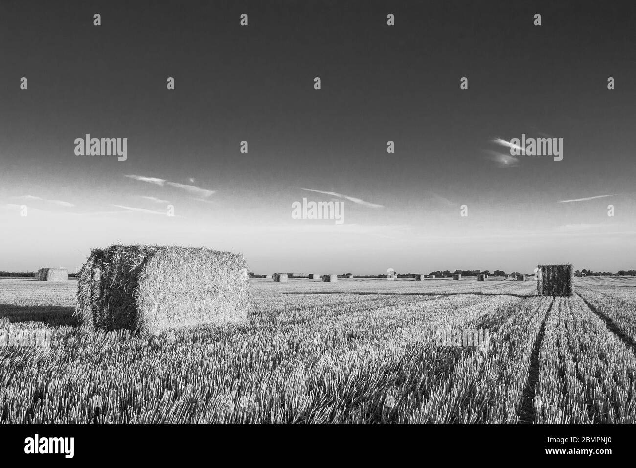 Straw Bales and Blue Sky Stock Photo - Alamy