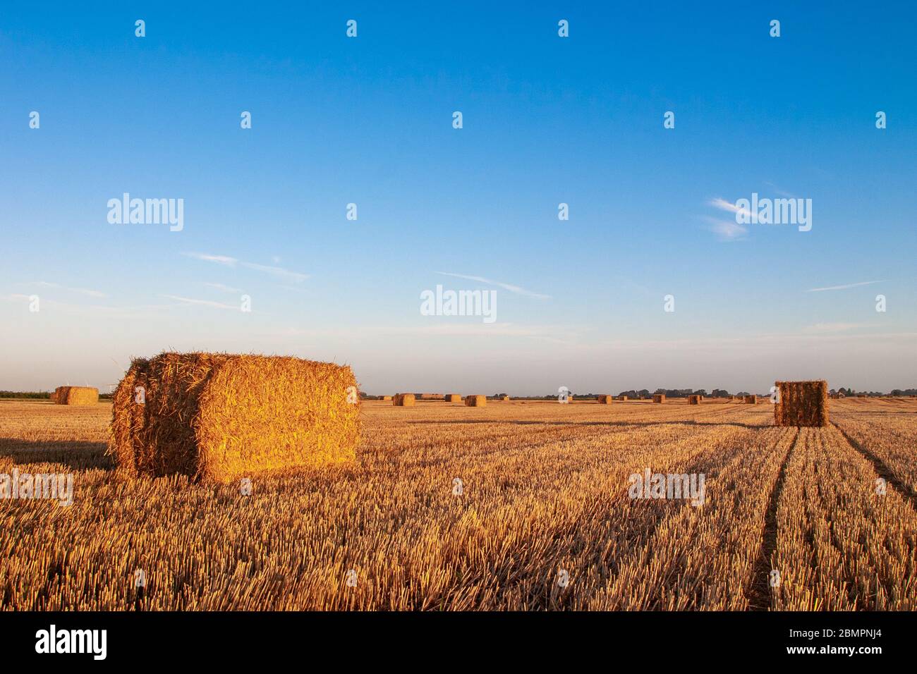 Straw Bales and Blue Sky Stock Photo - Alamy