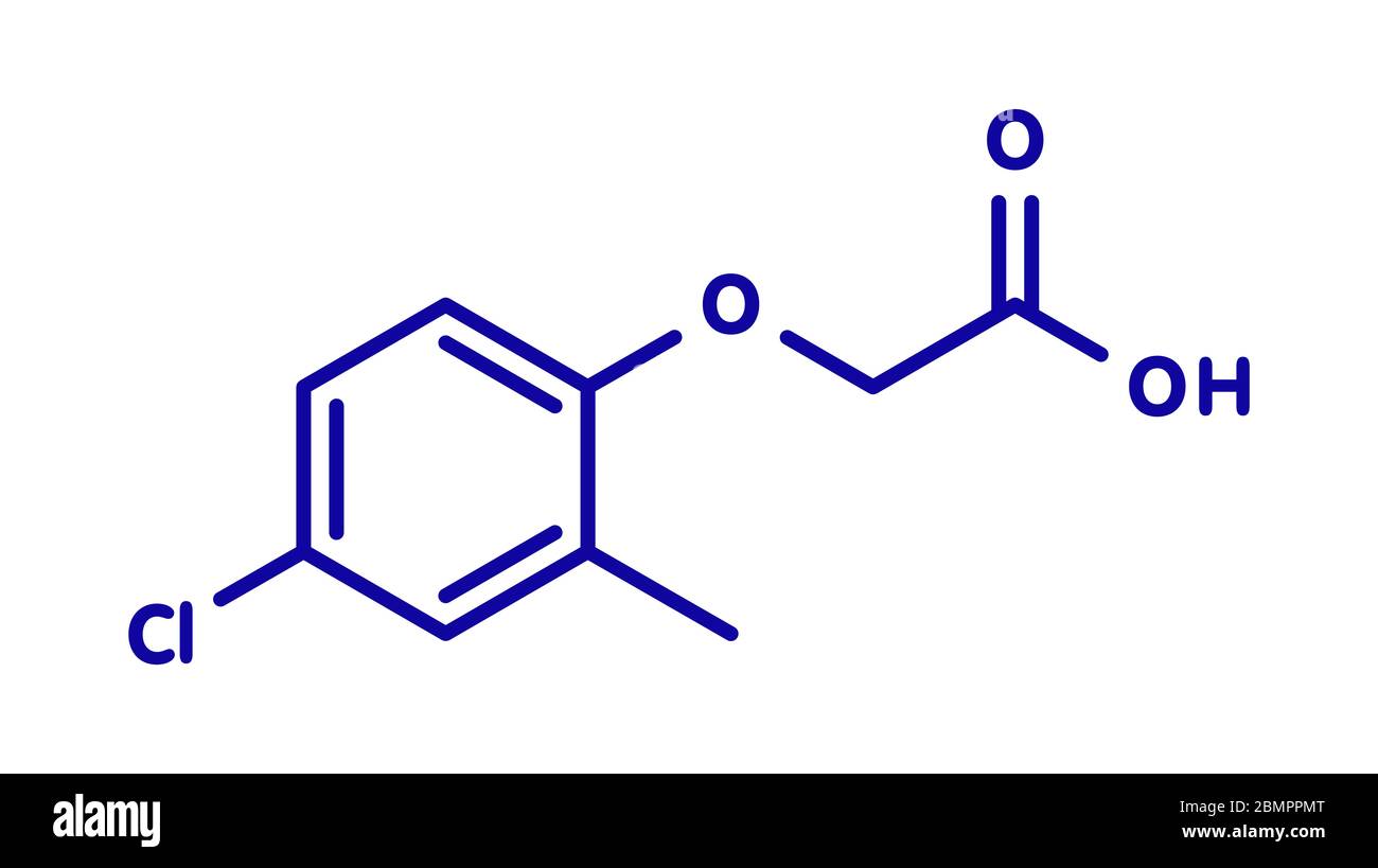 MCPA (2methyl4chlorophenoxyacetic acid) herbicide molecule. Skeletal