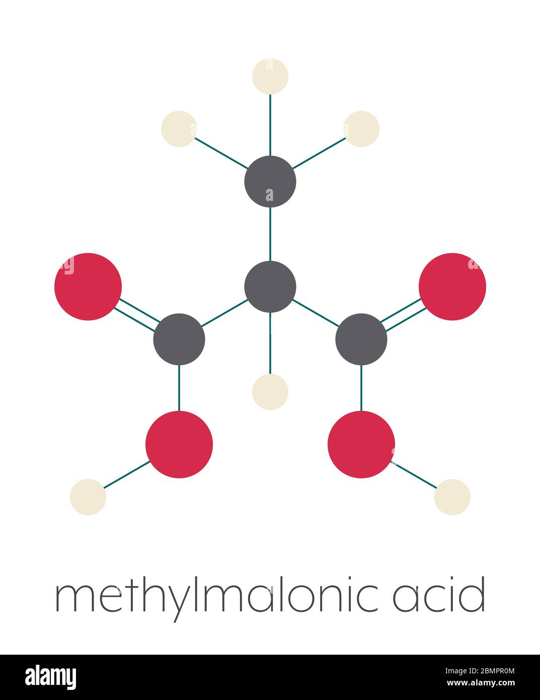 Methylmalonic acid molecule. Increased plasma levels may indicate vitamin B12 deficiency. Stylized skeletal formula (chemical structure): Atoms are shown as color-coded circles: hydrogen (beige), carbon (grey), oxygen (red). Stock Photo