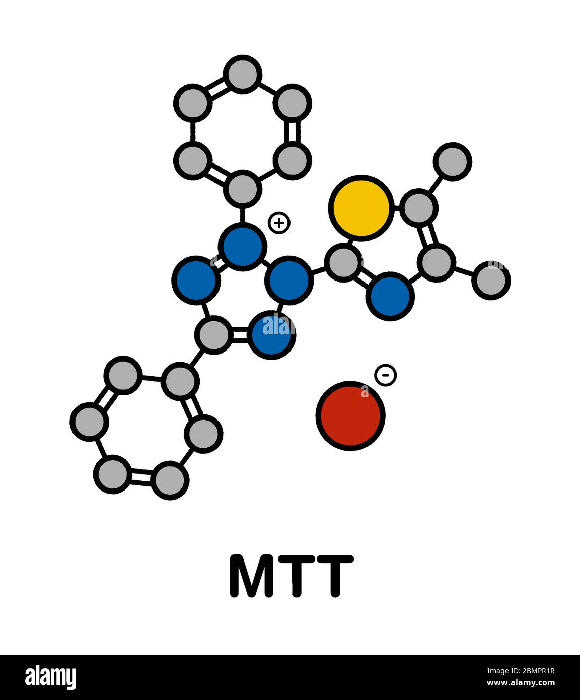 MTT yellow tetrazole dye molecule. Used in MTT assay, used to measure cytotoxicity and cell metabolic activity. Stylized skeletal formula (chemical structure): Atoms are shown as color-coded circles: hydrogen (hidden), carbon (grey), oxygen (red), nitrogen (blue), sulfur (yellow), bromine (brown). Stock Photo