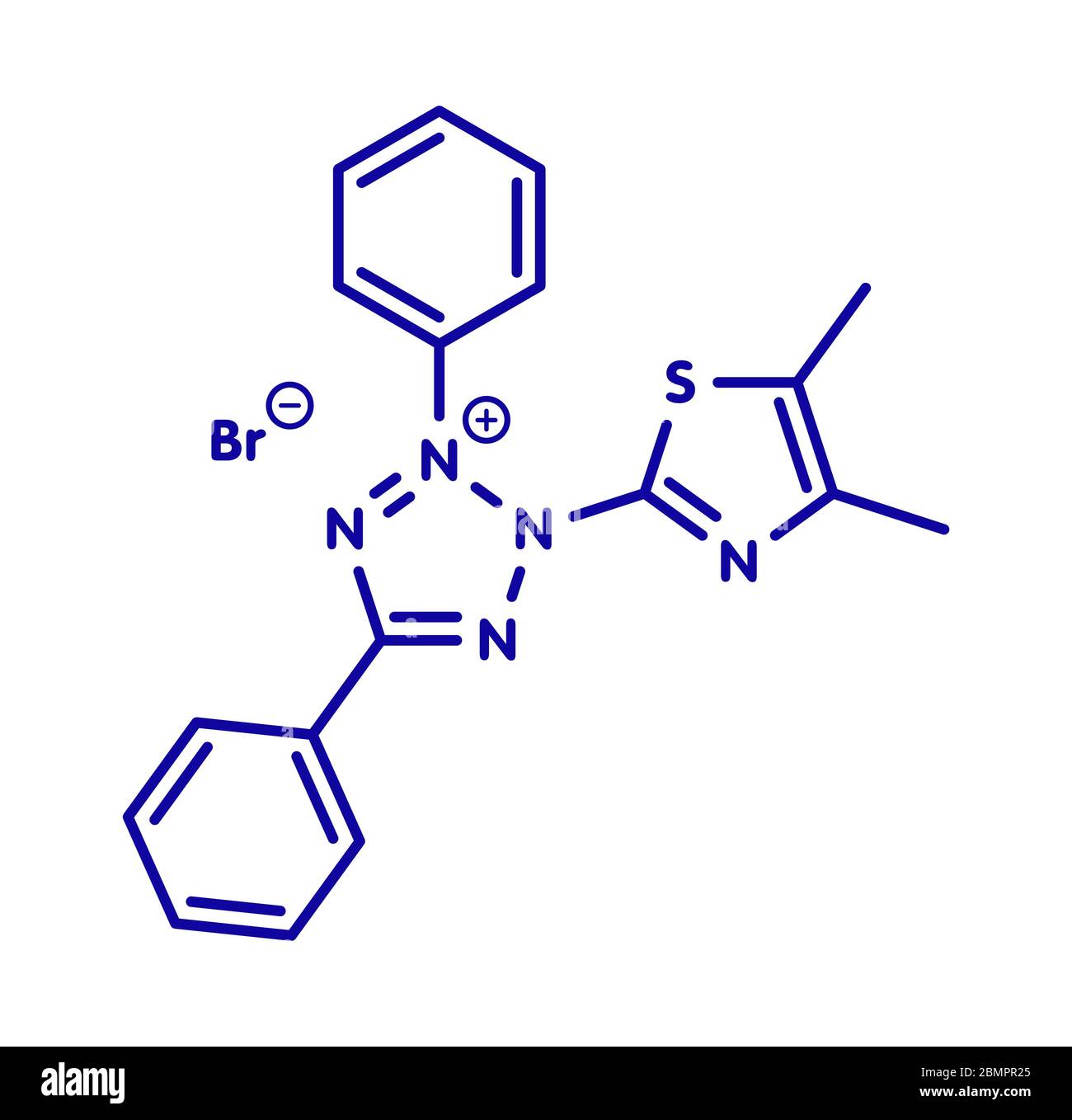MTT yellow tetrazole dye molecule. Used in MTT assay, used to measure cytotoxicity and cell metabolic activity. Skeletal formula. Stock Photo