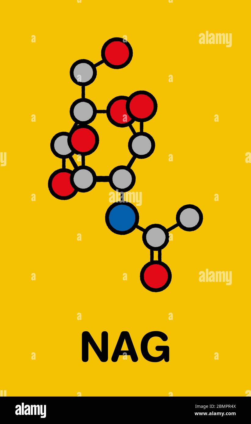 N-Acetylglucosamine (NAG) food supplement molecule. Stock Photo