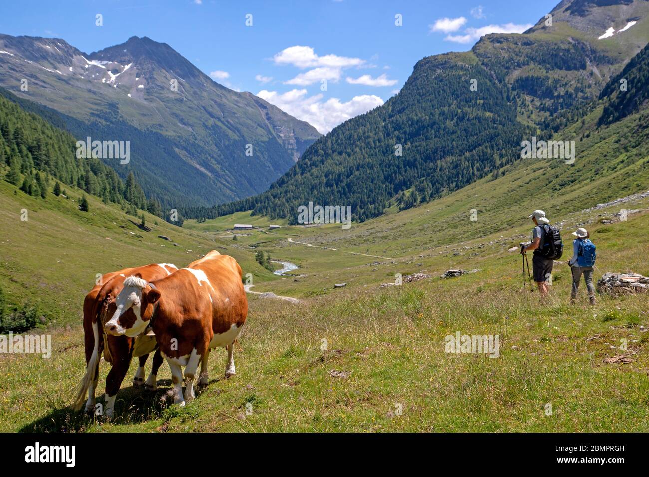 Hiking through the Oberhauser Valley in Hohe Tauern National Park Stock Photo