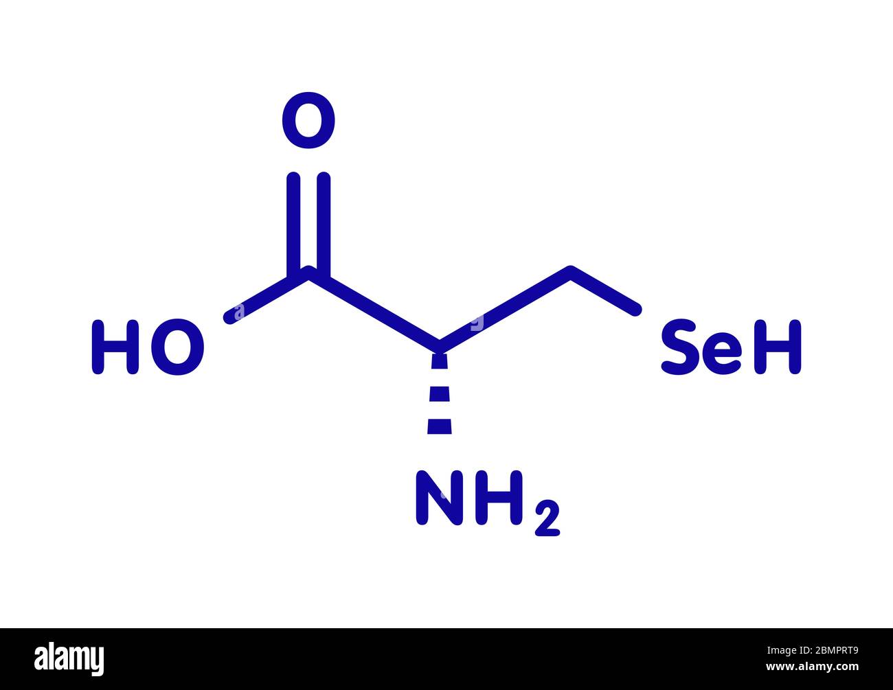 Selenium cysteine hires stock photography and images Alamy