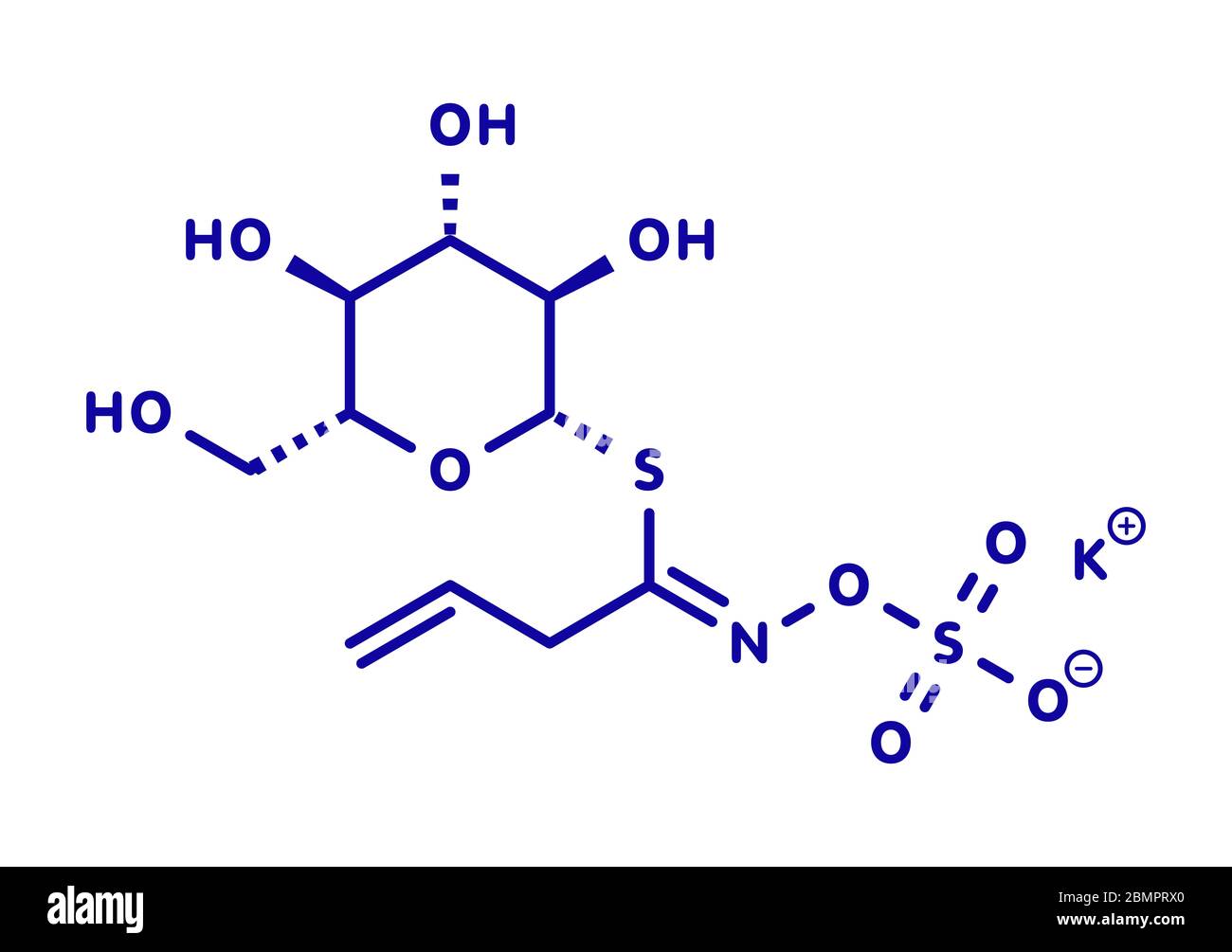 Sinigrin glucosinolate molecule. Present in some cruciferous vegetables (Brussels sprouts, broccoli, black mustard, etc). Skeletal formula. Stock Photo