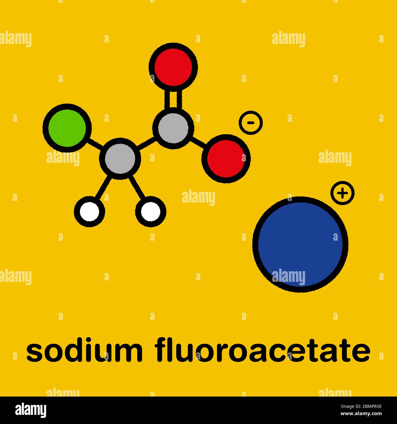 Sodium fluoroacetate pesticide (1080), chemical structure. Stylized skeletal formula (chemical structure): Atoms are shown as color-coded circles: hydrogen (white), carbon (grey), oxygen (red), fluorine (cyan). Stock Photo