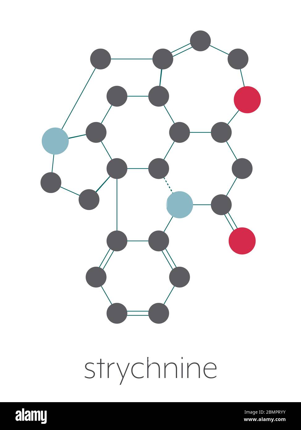 Strychnine poisonous alkaloid molecule. Isolated from Strychnos nux-vomica tree. Stylized skeletal formula (chemical structure): Atoms are shown as color-coded circles: hydrogen (hidden), carbon (grey), oxygen (red), nitrogen (blue). Stock Photo