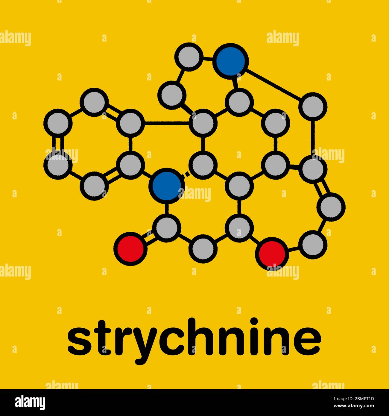 Strychnine poisonous alkaloid molecule. Isolated from Strychnos nux-vomica tree. Stylized skeletal formula (chemical structure): Atoms are shown as color-coded circles: hydrogen (hidden), carbon (grey), oxygen (red), nitrogen (blue). Stock Photo