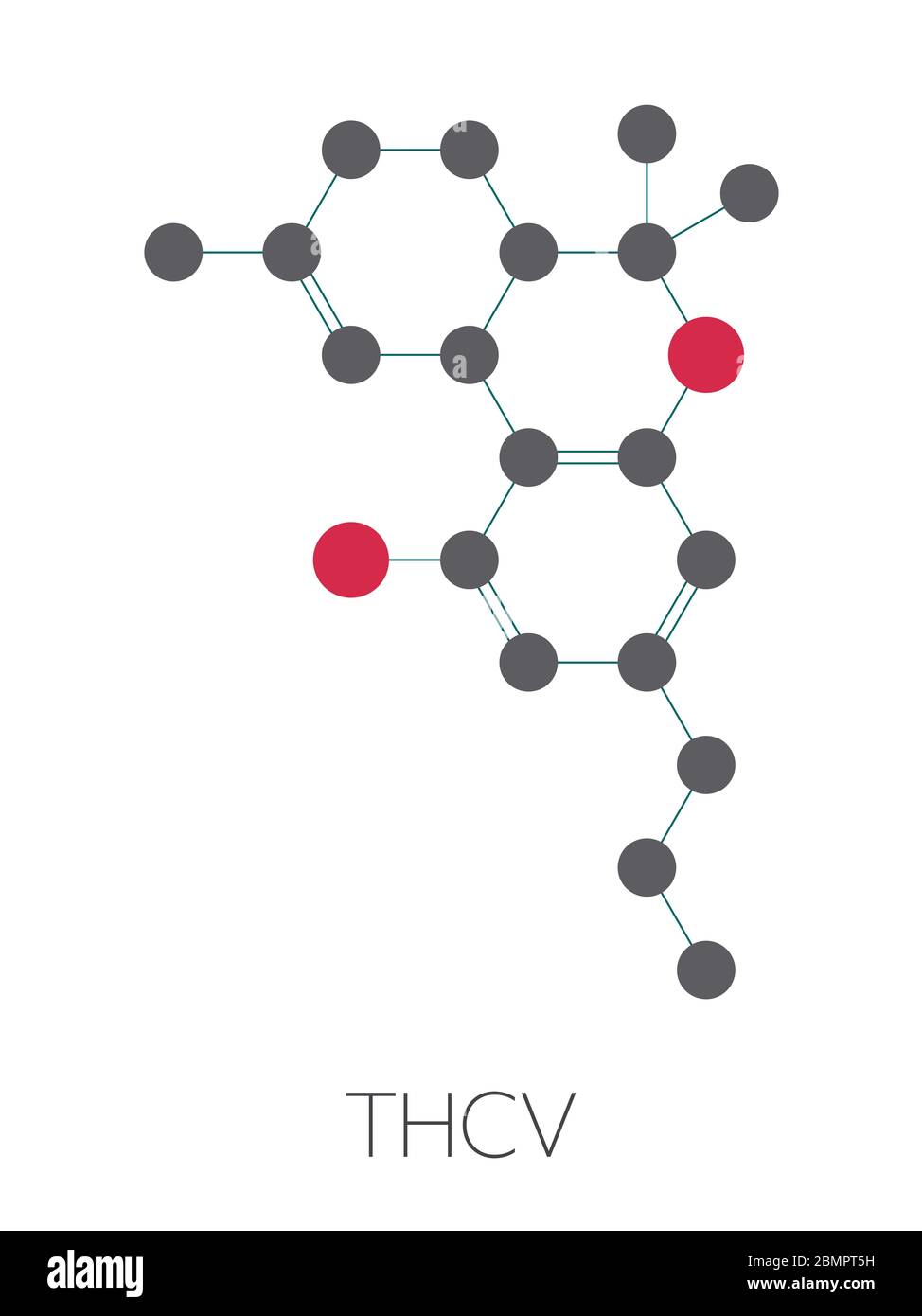 Tetrahydrocannabivarin or THCV cannabinoid molecule. Stylized skeletal formula (chemical structure): Atoms are shown as color-coded circles: hydrogen (hidden), carbon (grey), oxygen (red). Stock Photo