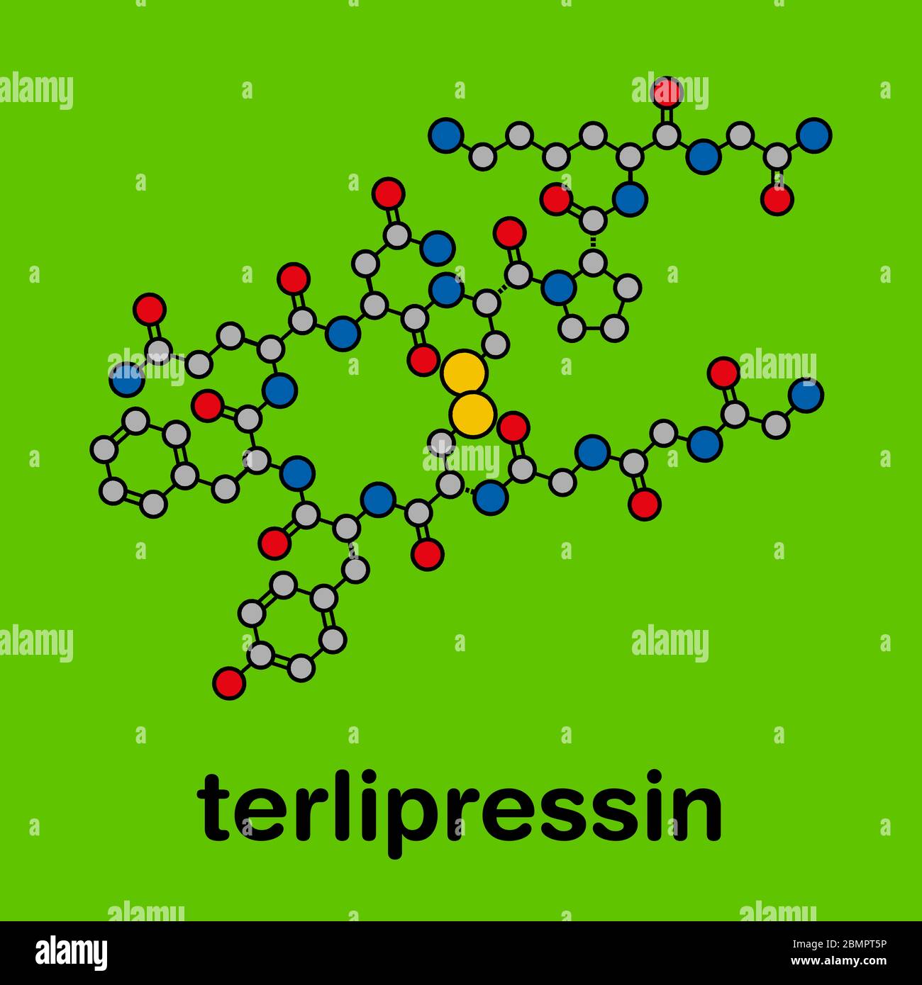 Terlipressin drug molecule. Stylized skeletal formula (chemical ...