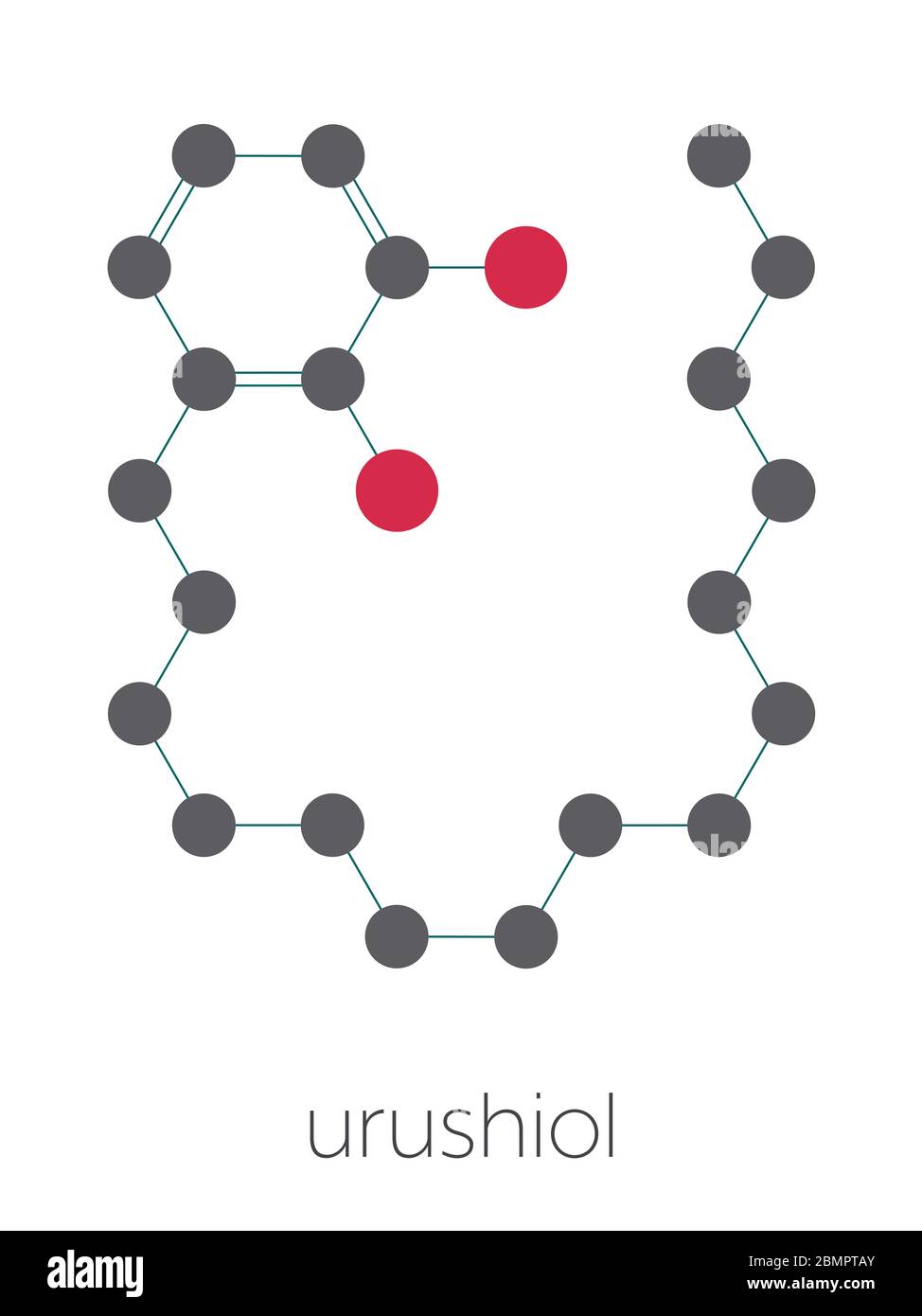 Urushiol poison ivy allergen molecule. Also present in poison oak