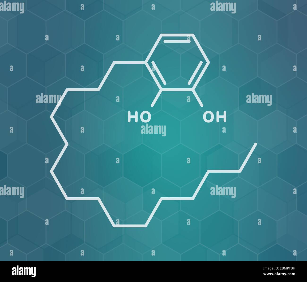 Urushiol poison ivy allergen molecule. Also present in poison oak