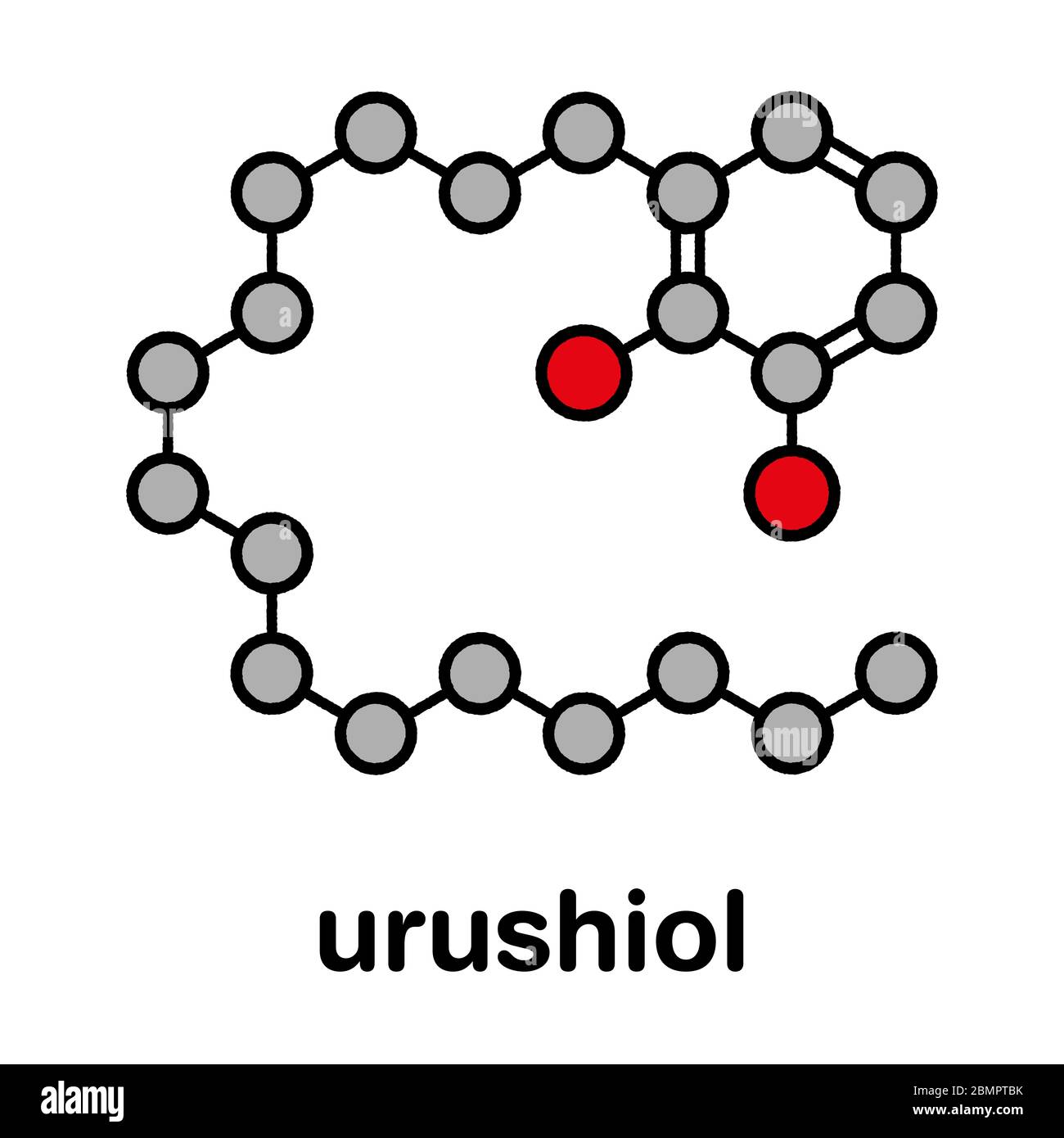 Urushiol poison ivy allergen molecule. Also present in poison oak