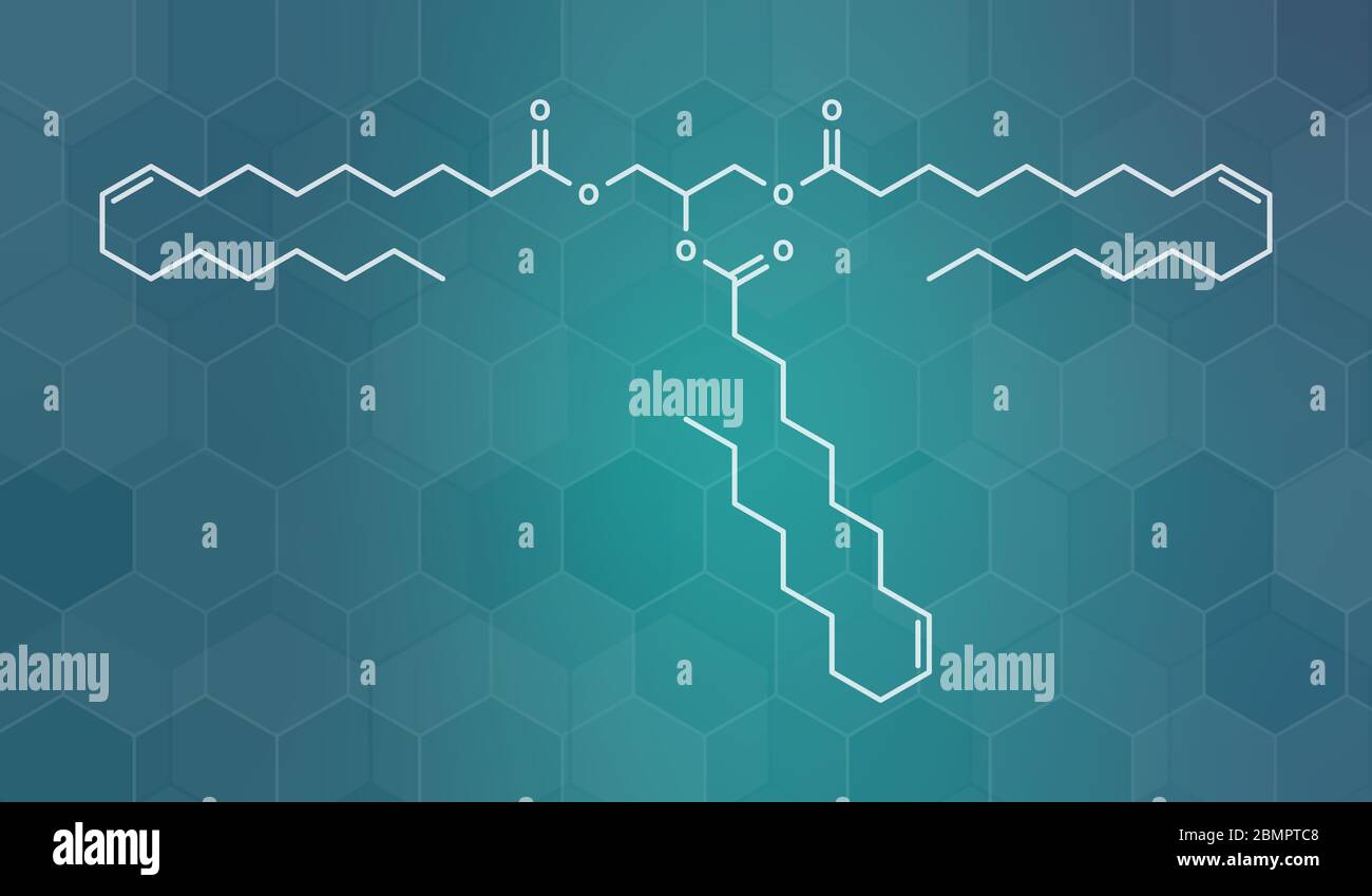 Olive oil triglyceride. Example of an olive oil triglyceride