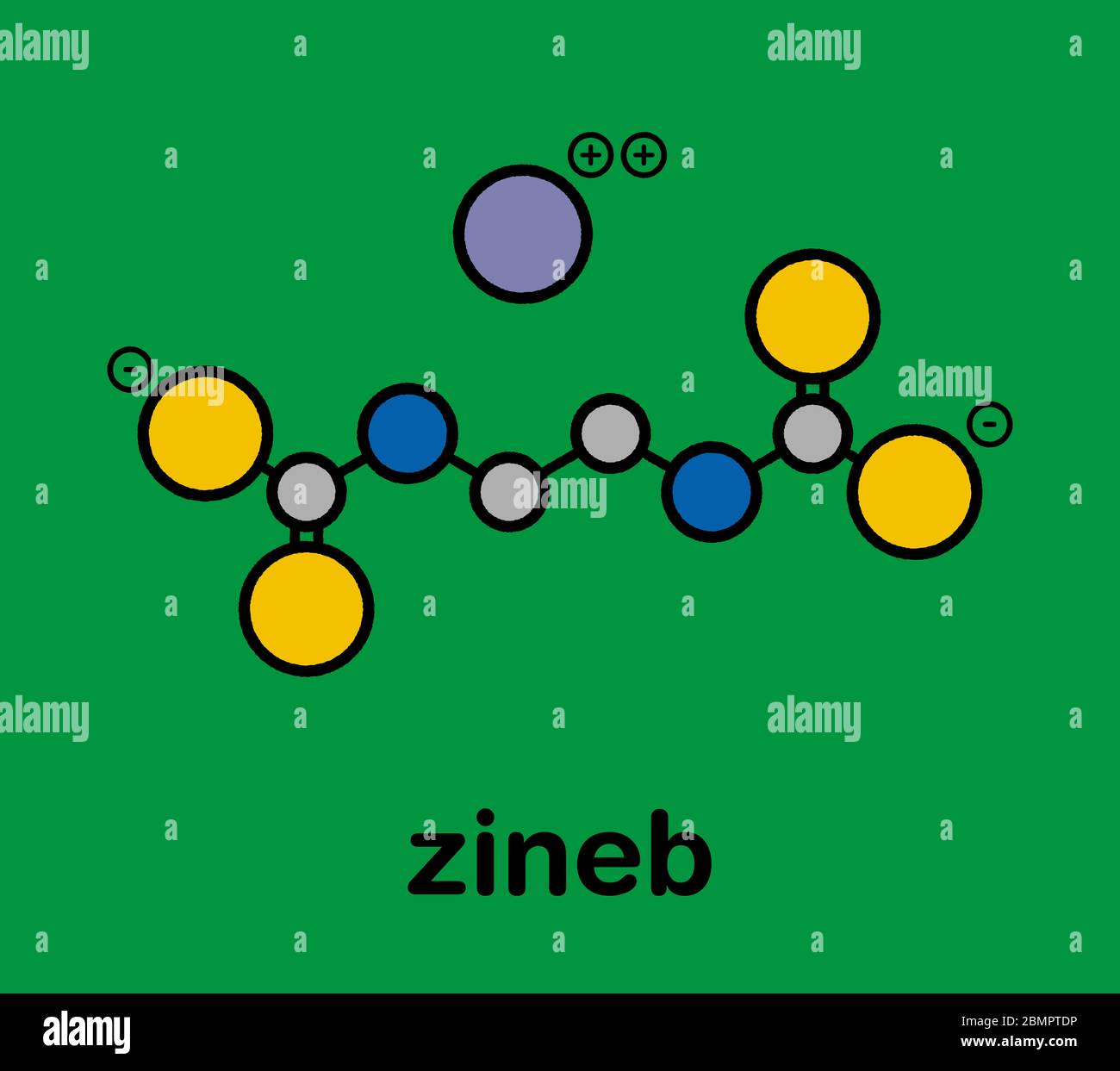 Zineb zinc organosulfur fungicide molecule. Stylized skeletal formula
