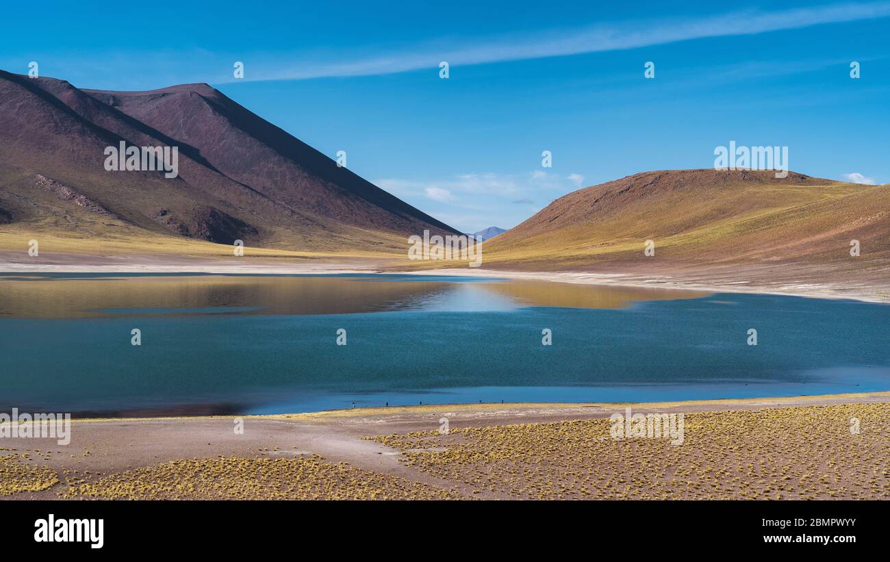 Miniques Lagoon in the Atacama Desert, Chile, South America. Stock Photo