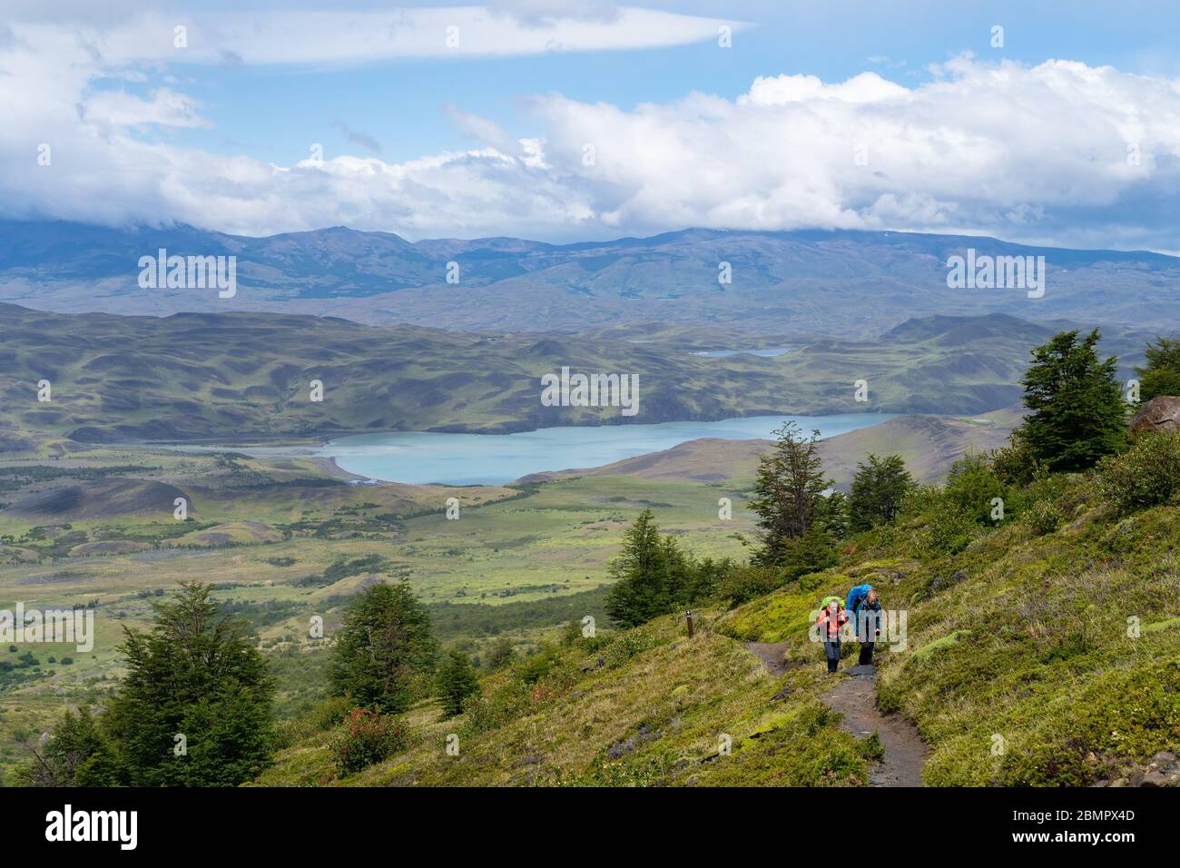 Hikers walking the famous W Trek in Torres del Paine National Park in Patagonia, Chile, South America. Stock Photo