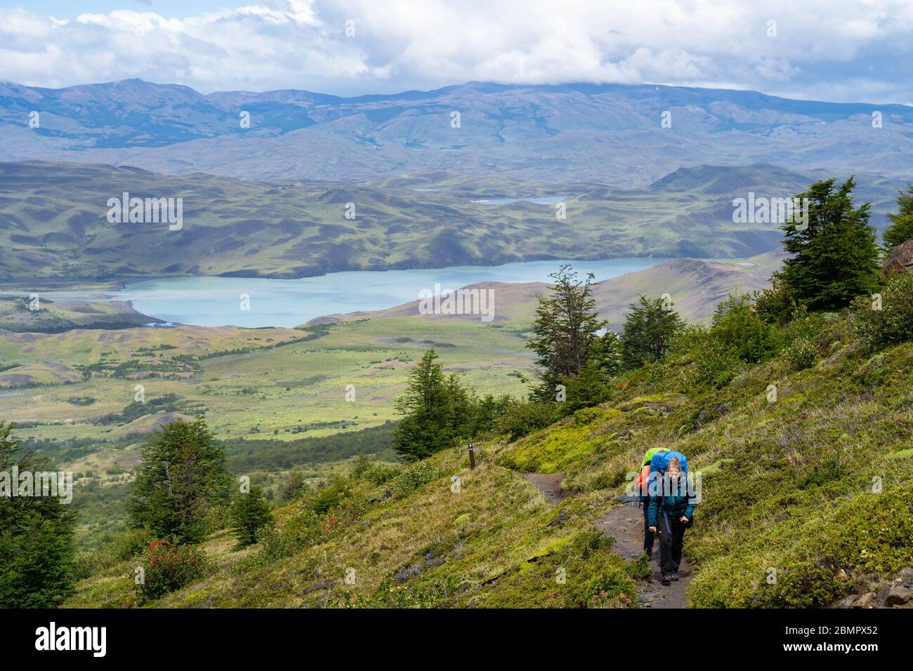 Hikers walking the famous W Trek in Torres del Paine National Park in Patagonia, Chile, South America. Stock Photo
