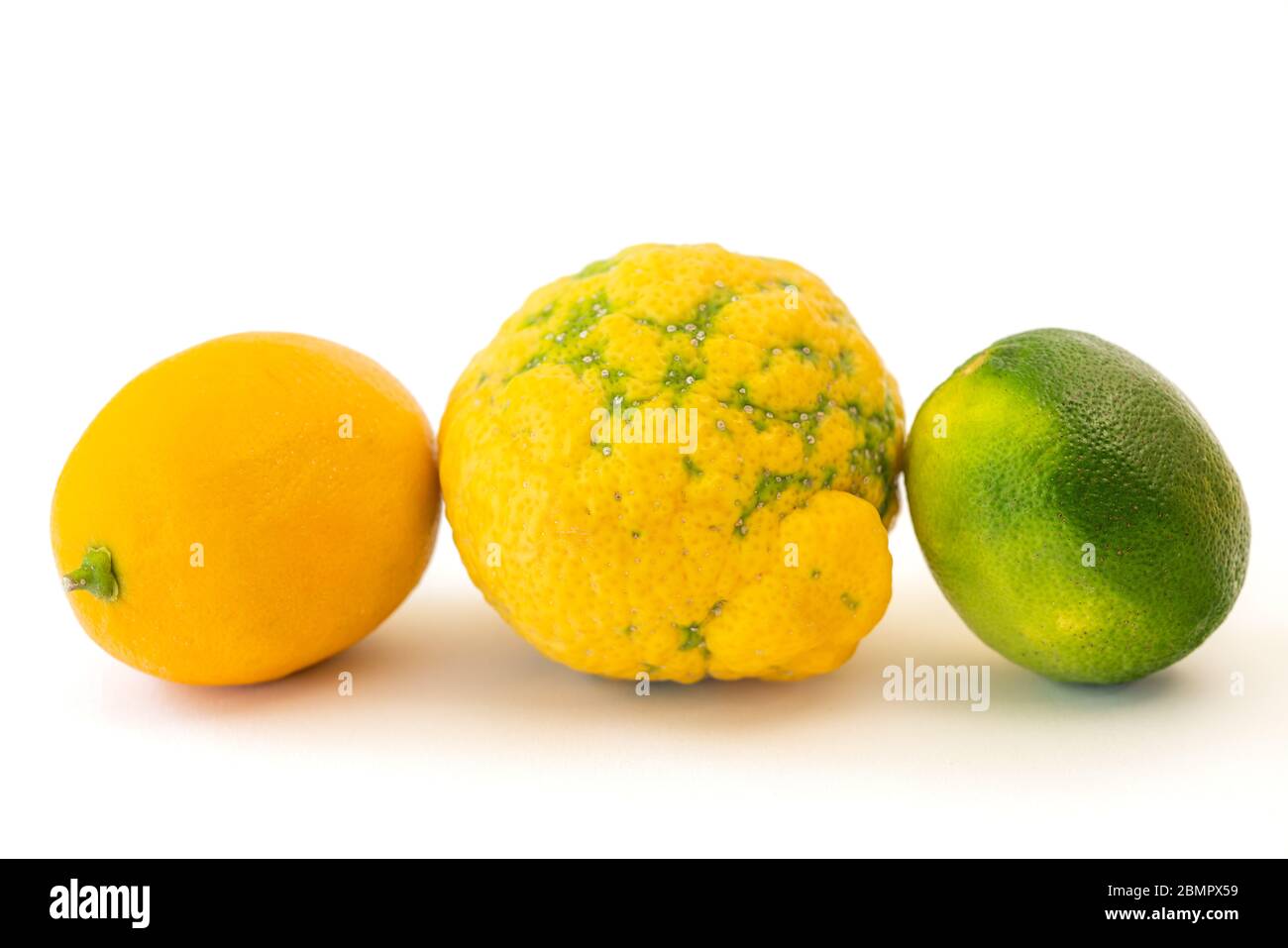 Lemon, lime, Bush lemon close up. Fresh ripe organic fruits isolated on white background Stock Photo