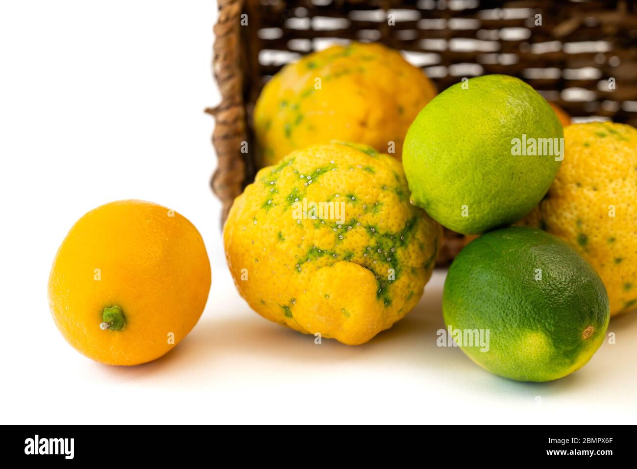 Lemon, lime, Bush lemon close up. Fresh ripe organic fruits in wicker basket, isolated on white background Stock Photo