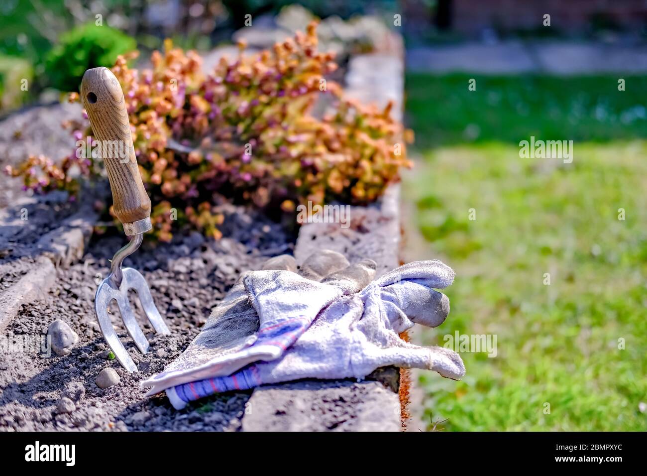 40 Weeding The Flower Bed A Small Gardening Fork And A Pair Of Gardening Gloves In Front Of A Heather Plant In An English Country Garden Stock Photo Alamy
