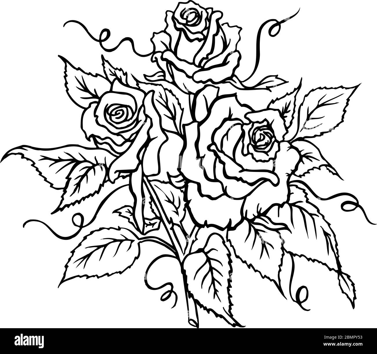 Roses Vector Illustration Stock Vector