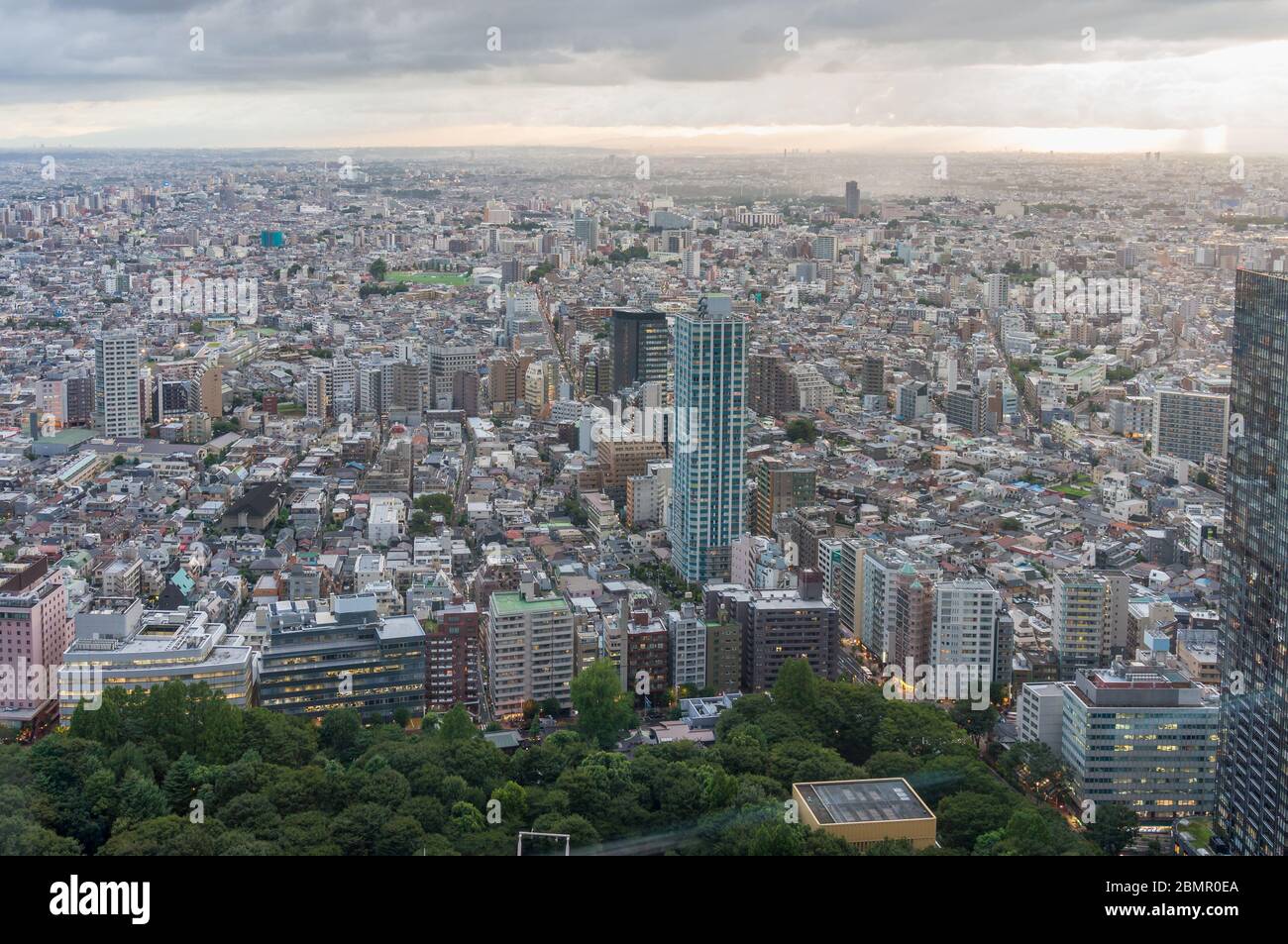 Tokyo suburb cityscape aerial with endless urban sprawl and green park. Modern Asian city development Stock Photo