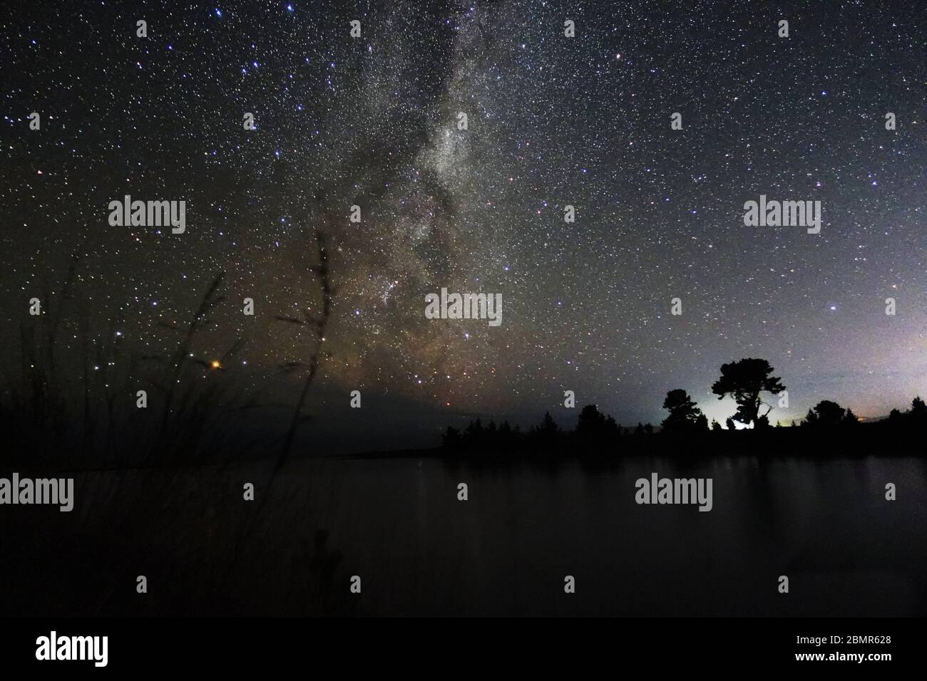 Milky way new zealand hi-res stock photography and images - Alamy