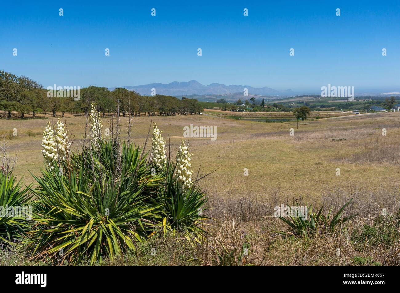 South african countryside hires stock photography and images Alamy