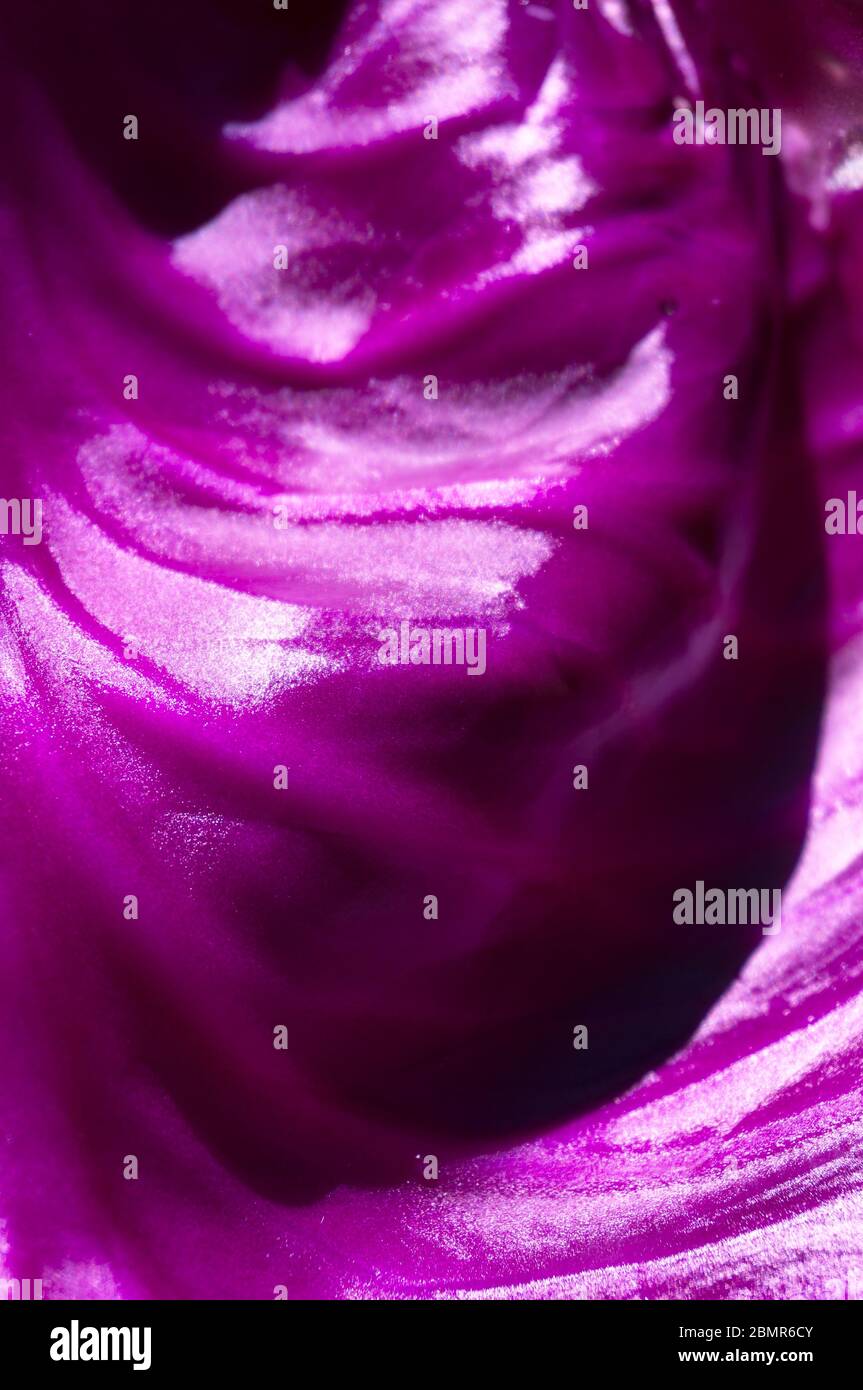 Purple abstract background smooth texture. Dynamic shiny leather like texture. Stock Photo