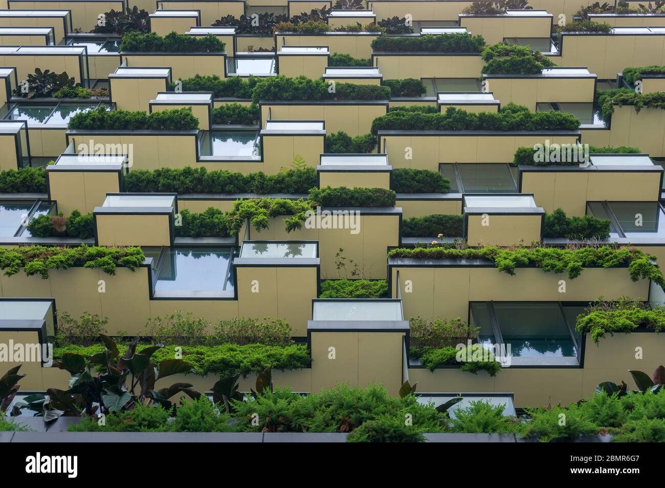 Picture of Green urbanism: definition, benefits, and principles | Enel Group